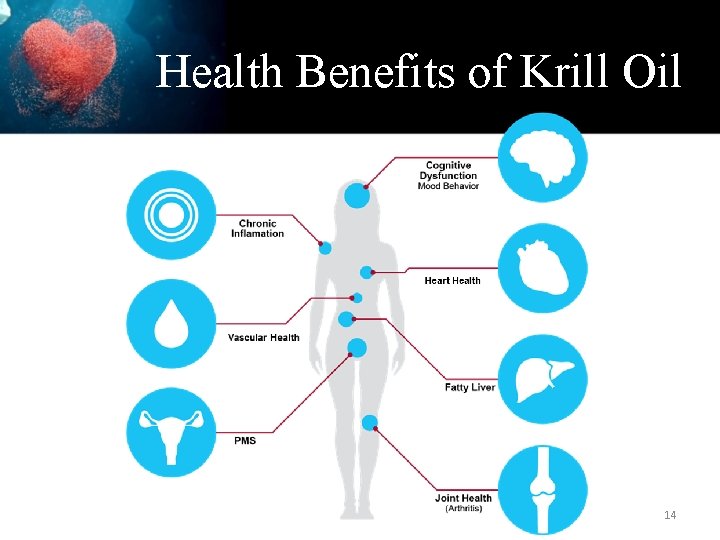 Health Benefits of Krill Oil 14 