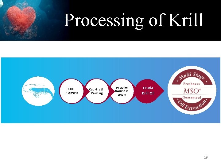 Processing of Krill Biomass Cooking & Pressing Extraction from Solid Steam Crude Krill Oil