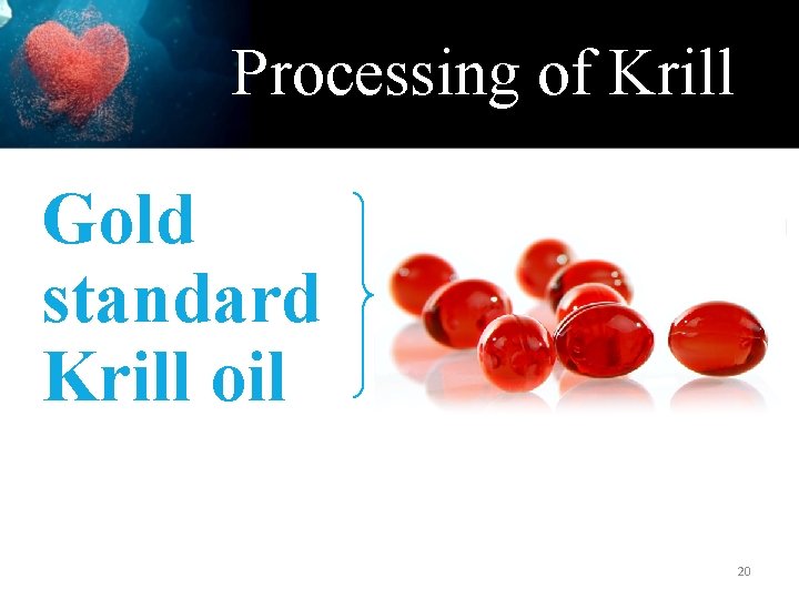 Processing of Krill Gold standard Krill oil 20 