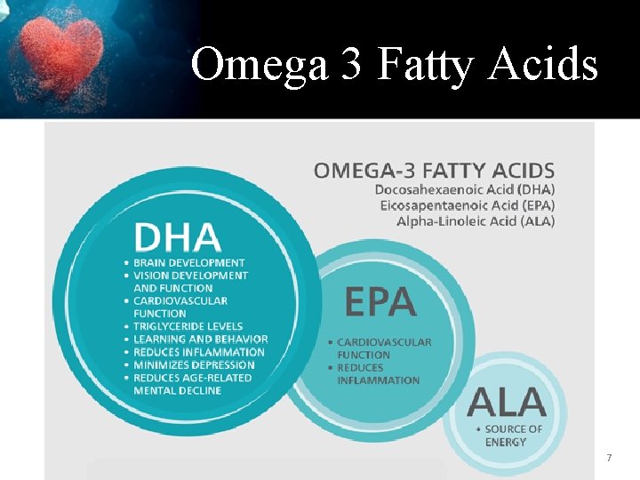 Omega 3 Fatty Acids 7 