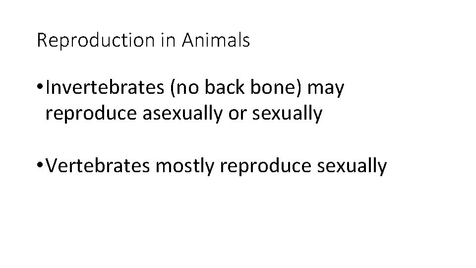 Reproduction in Animals • Invertebrates (no back bone) may reproduce asexually or sexually •
