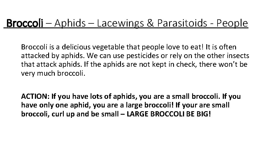 Broccoli – Aphids – Lacewings & Parasitoids - People Broccoli is a delicious vegetable