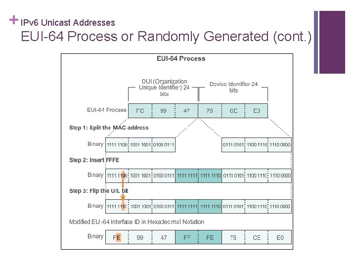 + IPv 6 Unicast Addresses EUI-64 Process or Randomly Generated (cont. ) 