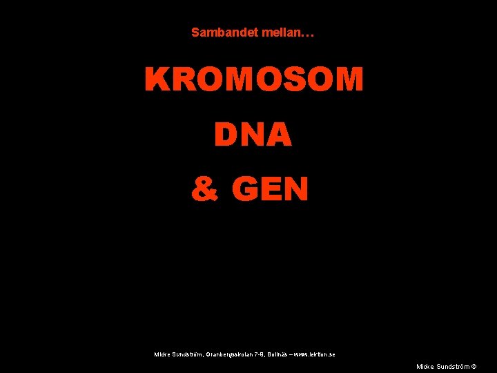 Sambandet mellan… KROMOSOM DNA & GEN Micke Sundström, Granbergsskolan 7 -9, Bollnäs – www.