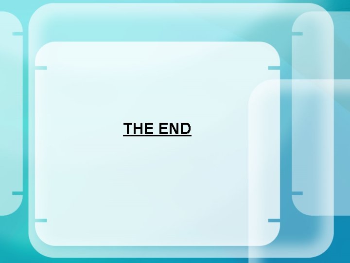 THE END 