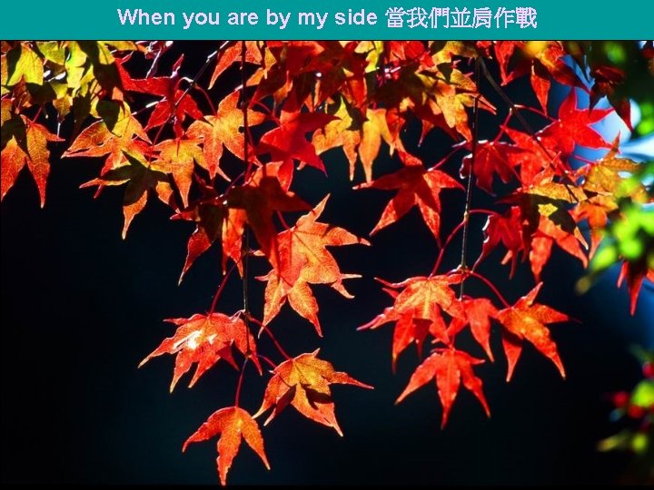 When you are by my side 當我們並肩作戰 