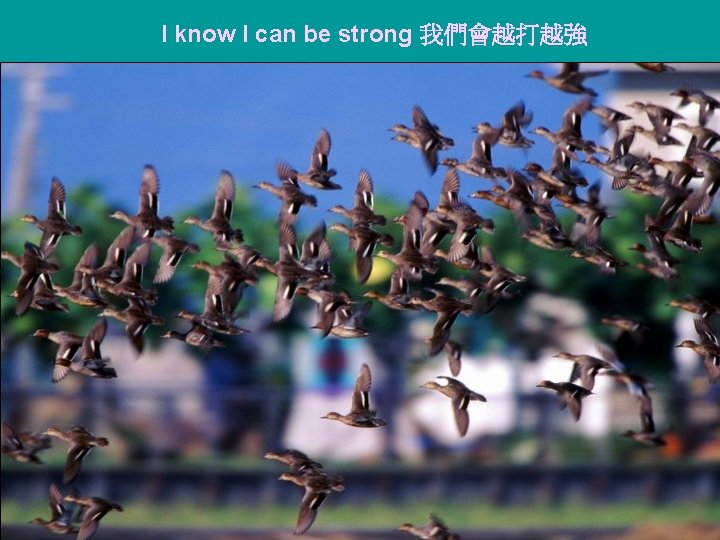 I know I can be strong 我們會越打越強 
