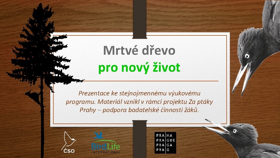 Mrtvé dřevo pro nový život Prezentace ke stejnojmennému výukovému programu. Materiál vznikl v rámci