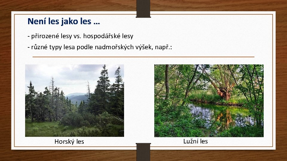 Není les jako les … - přirozené lesy vs. hospodářské lesy - různé typy