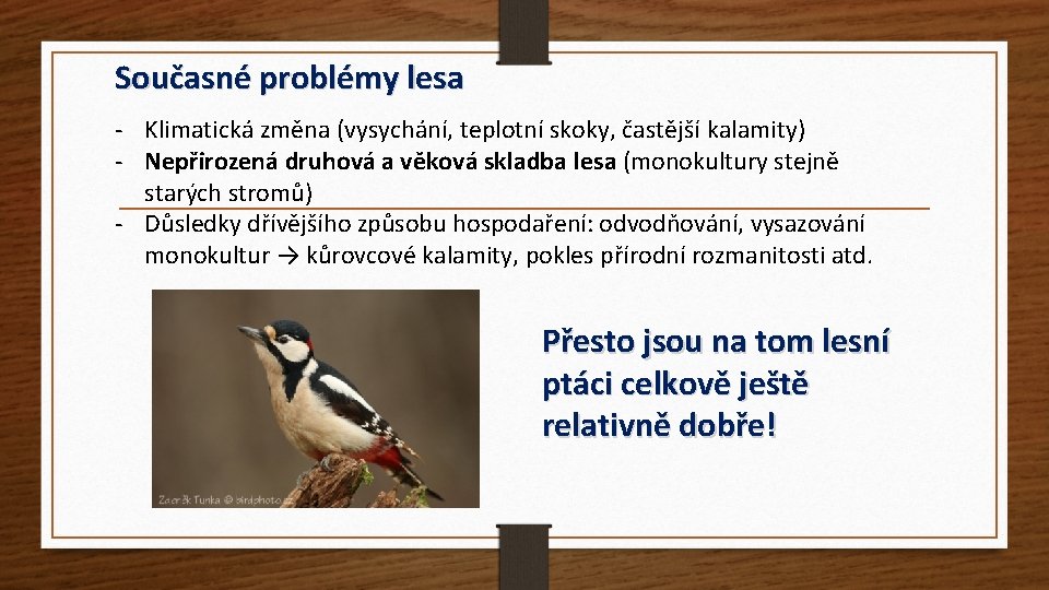 Současné problémy lesa - Klimatická změna (vysychání, teplotní skoky, častější kalamity) - Nepřirozená druhová