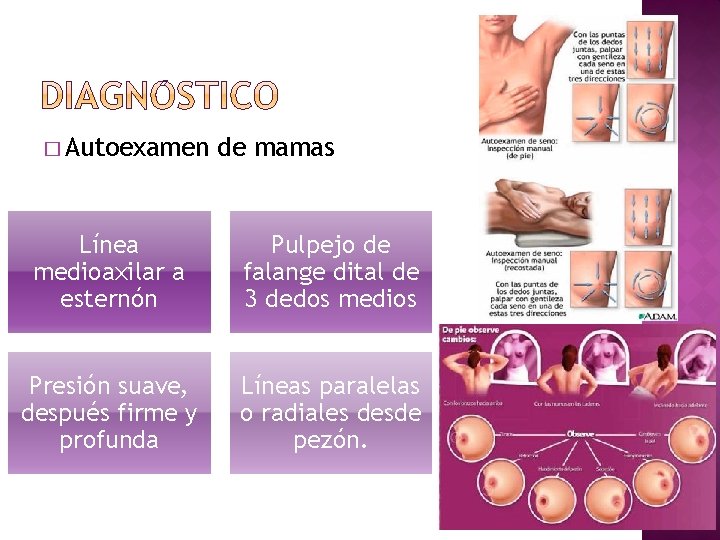 � Autoexamen de mamas Línea medioaxilar a esternón Pulpejo de falange dital de 3