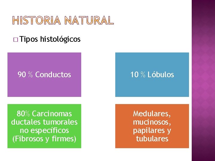 � Tipos histológicos 90 % Conductos 10 % Lóbulos 80% Carcinomas ductales tumorales no