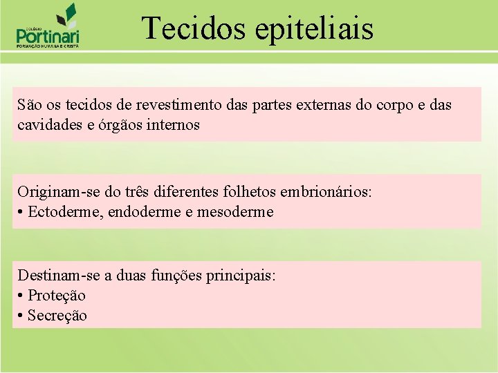 Tecidos epiteliais São os tecidos de revestimento das partes externas do corpo e das