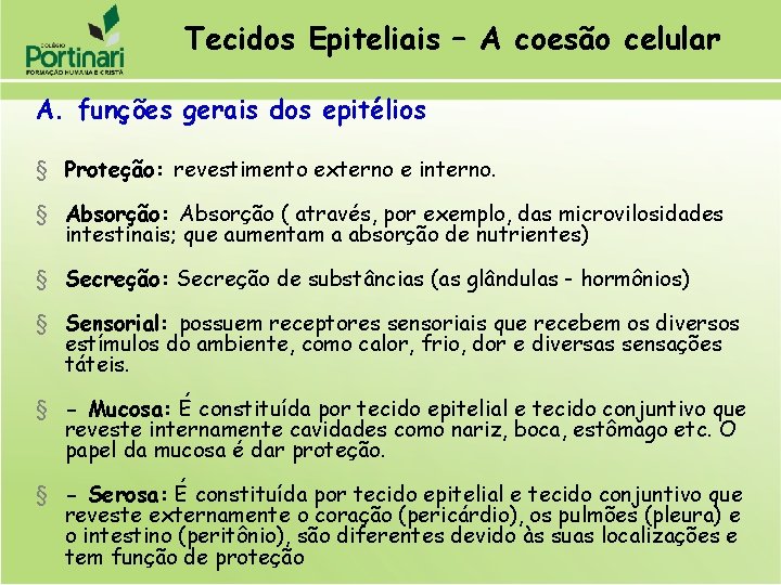 Tecidos Epiteliais – A coesão celular A. funções gerais dos epitélios § Proteção: revestimento