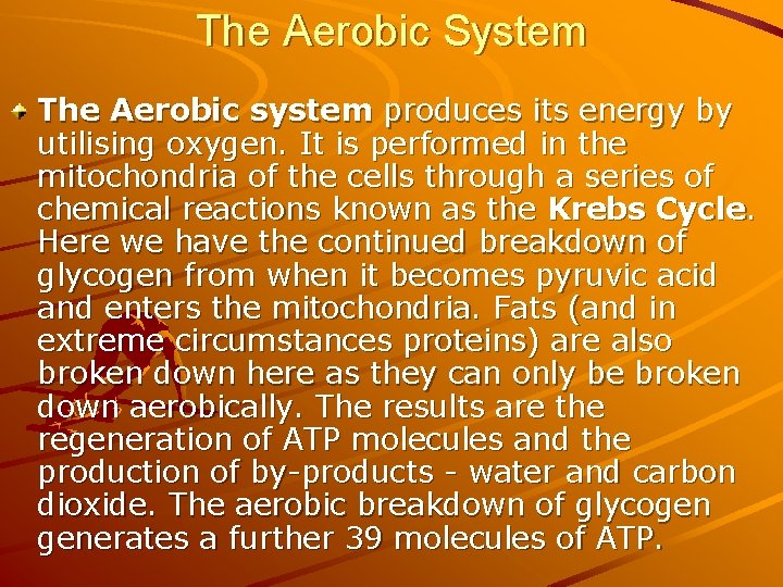 The Aerobic System The Aerobic system produces its energy by utilising oxygen. It is