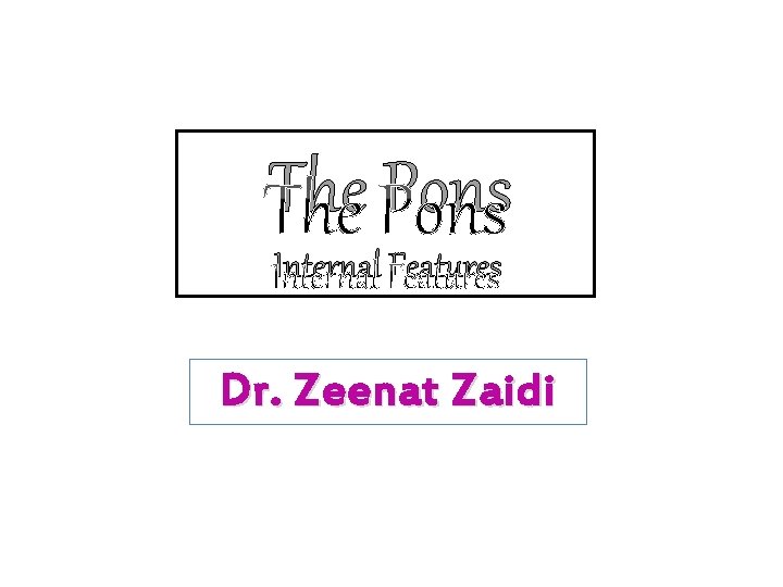 The Pons Internal Features Dr. Zeenat Zaidi 