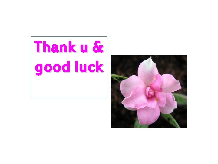 Thank u & good luck 