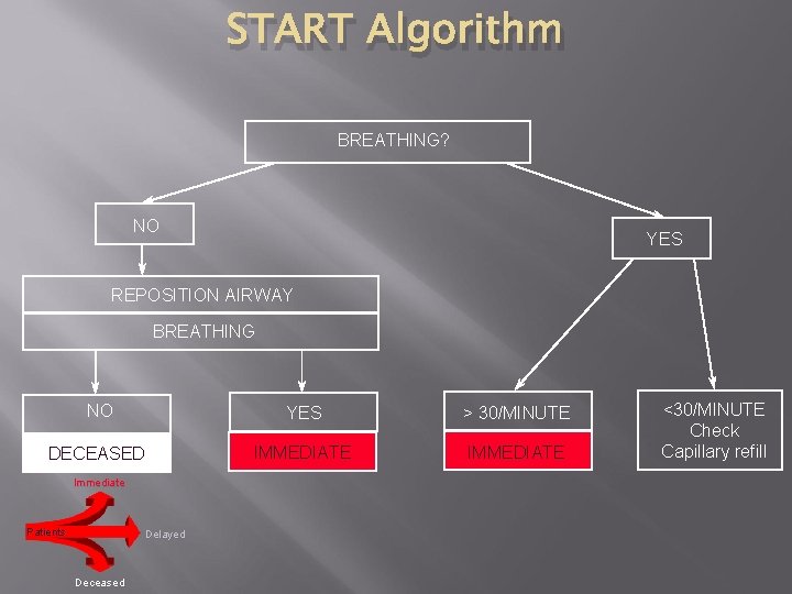 START Algorithm BREATHING? NO YES REPOSITION AIRWAY BREATHING NO YES > 30/MINUTE DECEASED IMMEDIATE