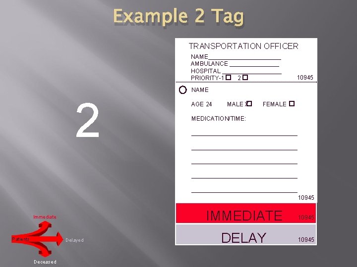 Example 2 Tag TRANSPORTATION OFFICER NAME___________ AMBULANCE ________ HOSPITAL _________ PRIORITY-1 2 10945 NAME