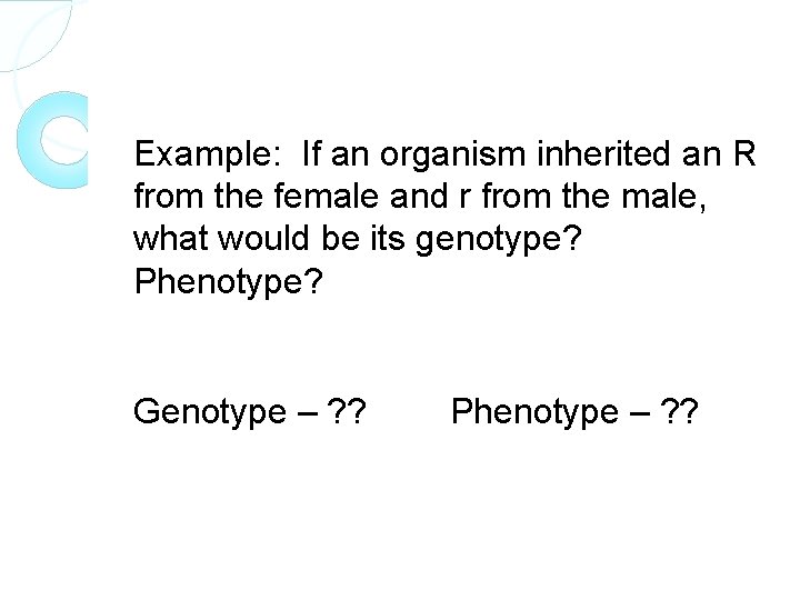 Example: If an organism inherited an R from the female and r from the