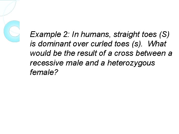 Example 2: In humans, straight toes (S) is dominant over curled toes (s). What
