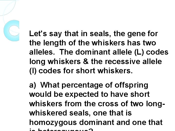 Let's say that in seals, the gene for the length of the whiskers has