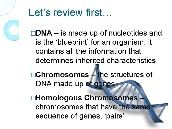 Let’s review first… �DNA – is made up of nucleotides and is the ‘blueprint’
