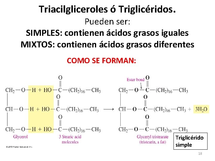 Triacilgliceroles ó Triglicéridos. Pueden ser: SIMPLES: contienen ácidos grasos iguales MIXTOS: contienen ácidos grasos Triacilgliceroles ó Triglicéridos. Pueden ser: SIMPLES: contienen ácidos grasos iguales MIXTOS: contienen ácidos grasos