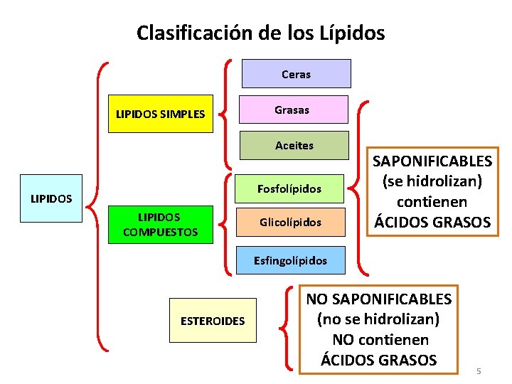 Clasificación de los Lípidos Ceras LIPIDOS SIMPLES Grasas Aceites Fosfolípidos LIPIDOS COMPUESTOS Glicolípidos SAPONIFICABLES