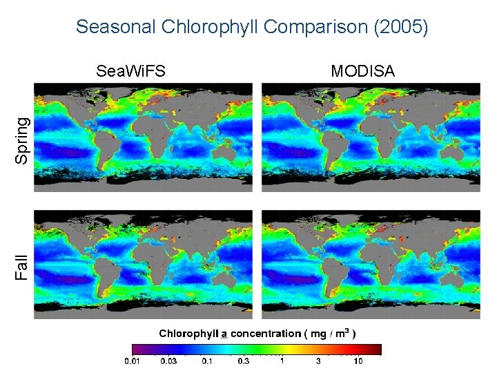 Seasonal Chlorophyll Comparison (2005) Fall Spring Sea. Wi. FS MODISA 