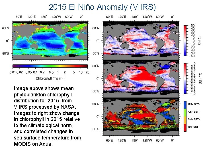 2015 El Niño Anomaly (VIIRS) Image above shows mean phytoplankton chlorophyll distribution for 2015,