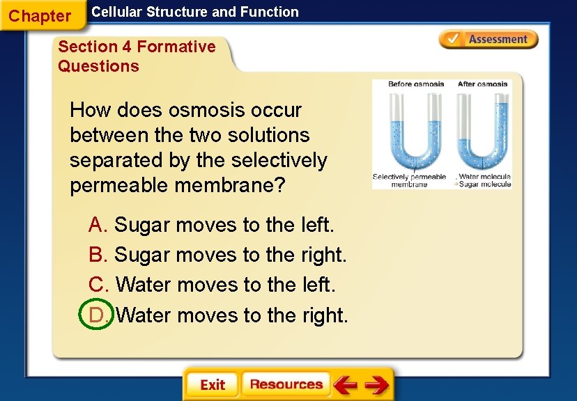Chapter Cellular Structure and Function Section 4 Formative Questions How does osmosis occur between