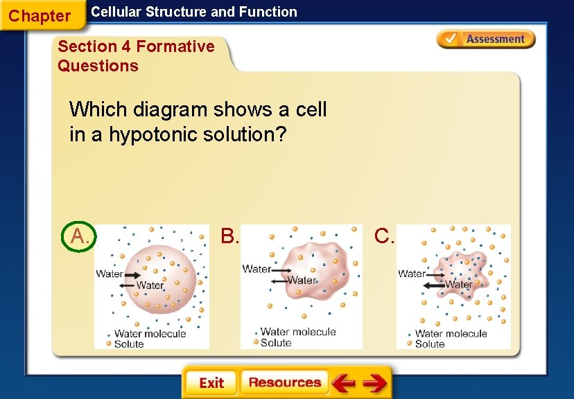 Chapter Cellular Structure and Function Section 4 Formative Questions Which diagram shows a cell