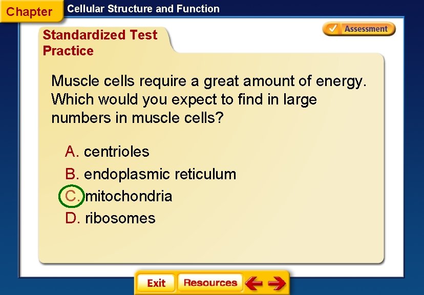 Chapter Cellular Structure and Function Standardized Test Practice Muscle cells require a great amount