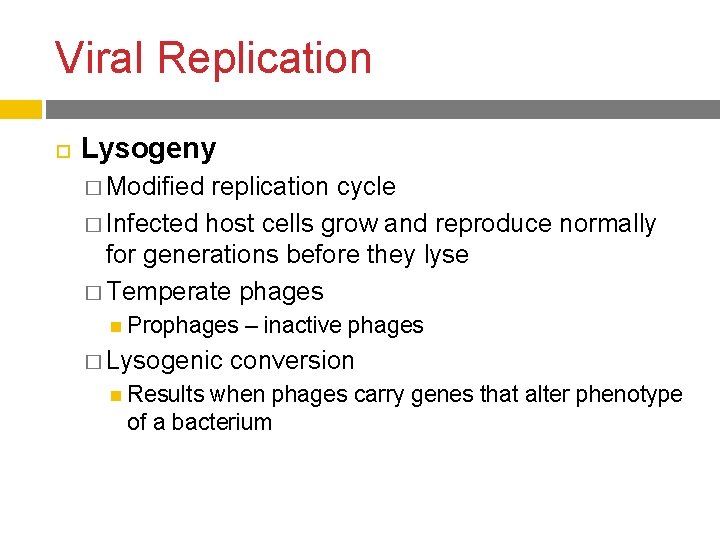 Viral Replication Lysogeny � Modified replication cycle � Infected host cells grow and reproduce