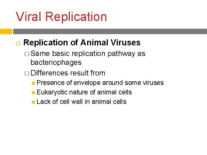Viral Replication of Animal Viruses � Same basic replication pathway as bacteriophages � Differences