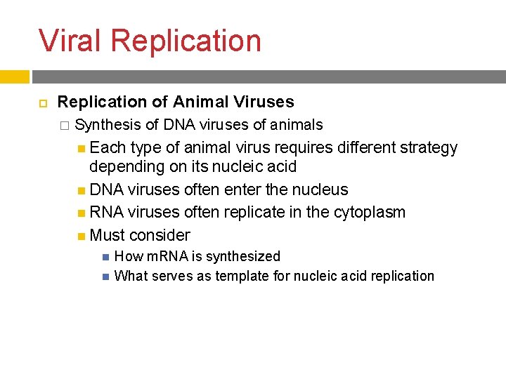Viral Replication of Animal Viruses � Synthesis of DNA viruses of animals Each type