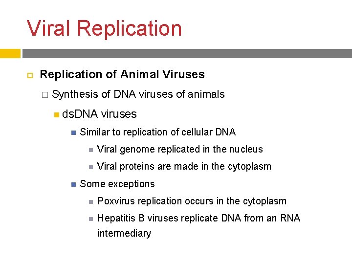 Viral Replication of Animal Viruses � Synthesis of DNA viruses of animals ds. DNA