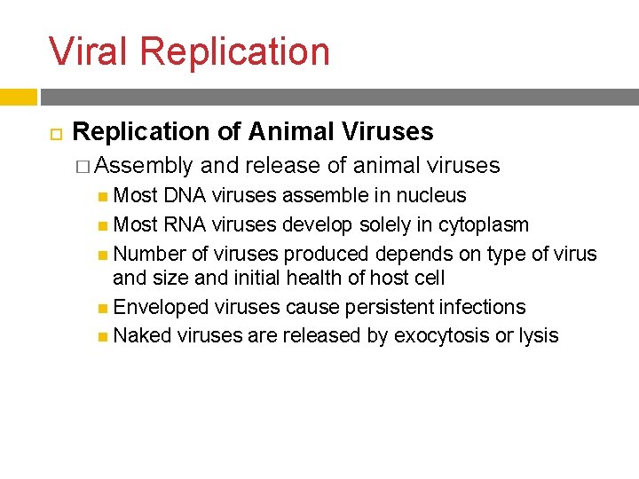 Viral Replication of Animal Viruses � Assembly Most and release of animal viruses DNA