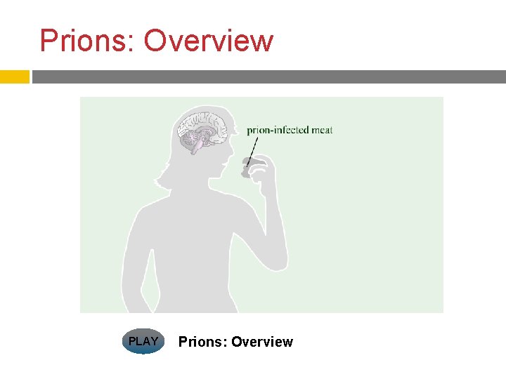 Prions: Overview PLAY Prions: Overview 