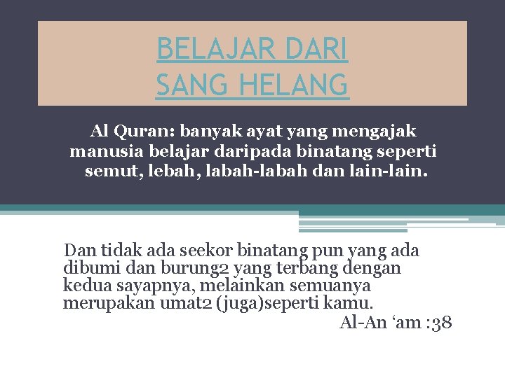 BELAJAR DARI SANG HELANG Al Quran: banyak ayat yang mengajak manusia belajar daripada binatang