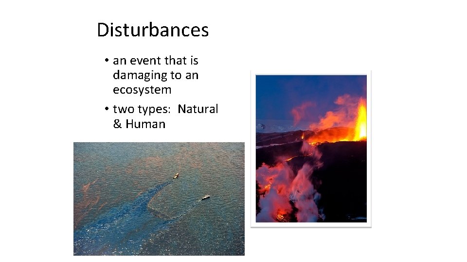 Disturbances • an event that is damaging to an ecosystem • two types: Natural