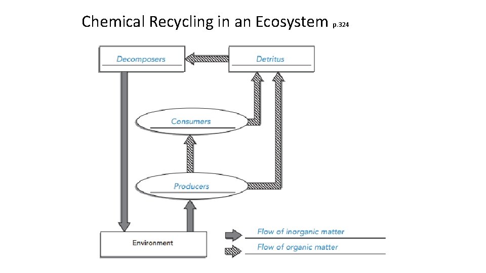 Chemical Recycling in an Ecosystem p. 324 