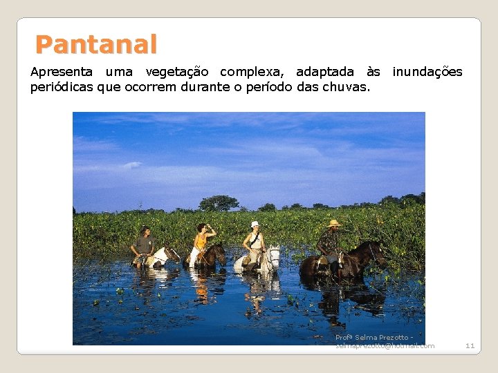 Pantanal Apresenta uma vegetação complexa, adaptada às inundações periódicas que ocorrem durante o período
