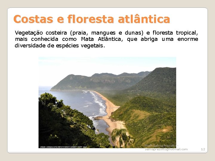Costas e floresta atlântica Vegetação costeira (praia, mangues e dunas) e floresta tropical, mais