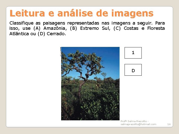 Leitura e análise de imagens Classifique as paisagens representadas nas imagens a seguir. Para