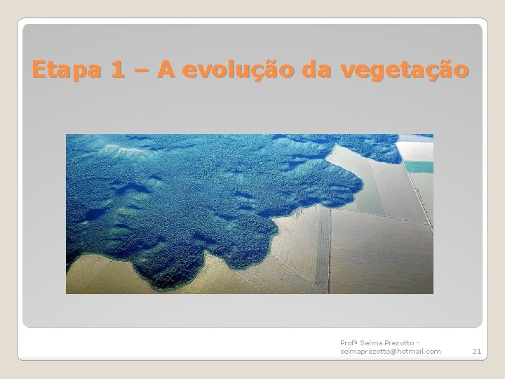 Etapa 1 – A evolução da vegetação Profª Selma Prezotto selmaprezotto@hotmail. com 21 