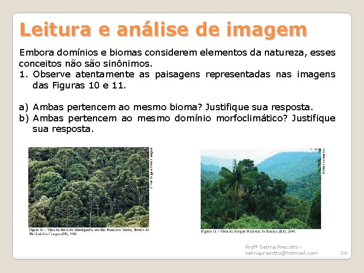 Leitura e análise de imagem Embora domínios e biomas considerem elementos da natureza, esses