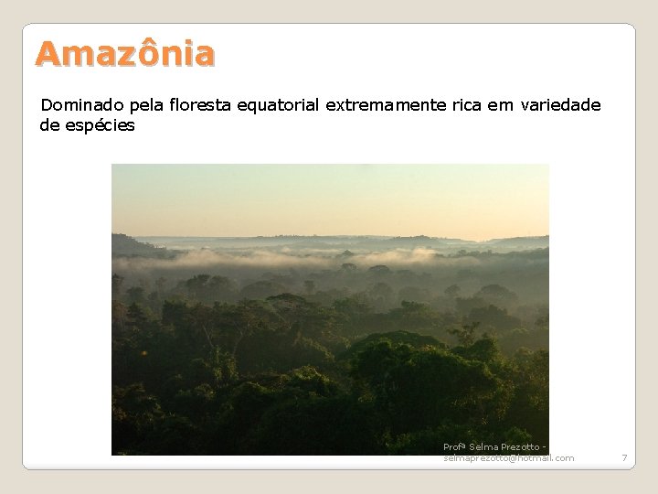 Amazônia Dominado pela floresta equatorial extremamente rica em variedade de espécies Profª Selma Prezotto