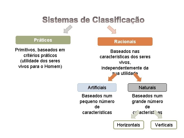 Práticos Primitivos, baseados em critérios práticos (utilidade dos seres vivos para o Homem) Racionais